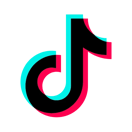 TikTok Scraper logo
